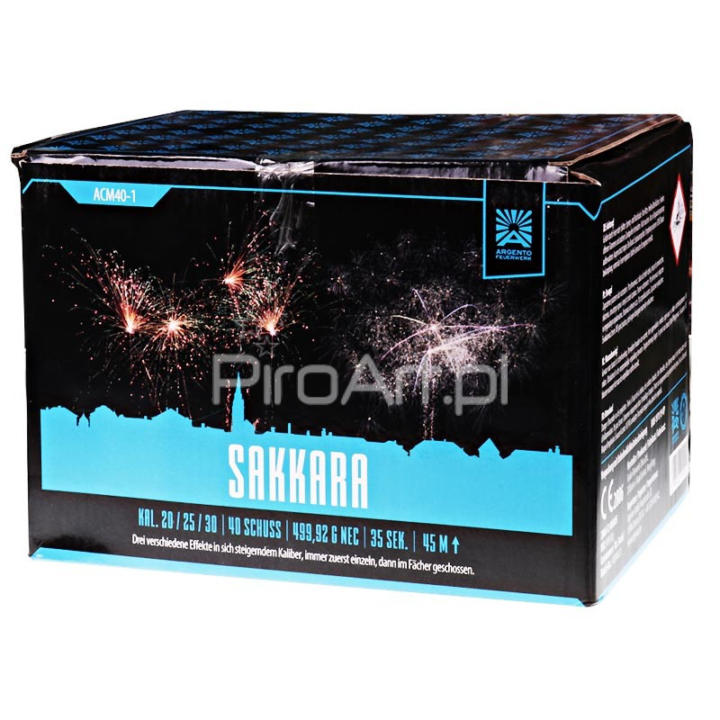 ACM40-1 Sakkara [6/1]