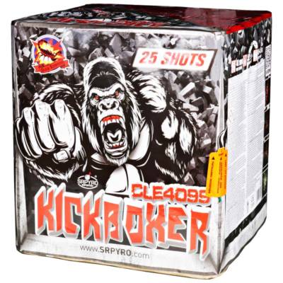 CLE4099 Kickboxer [2/1]