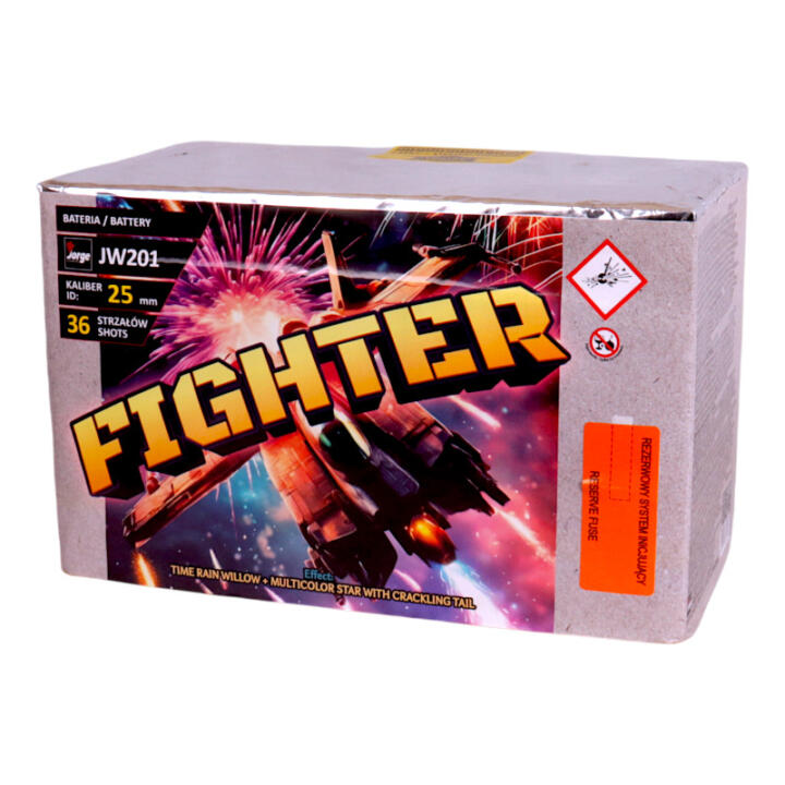 JW201 Fighter [6/1]